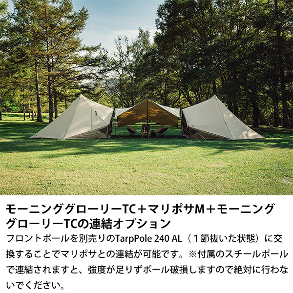 サバティカル モーニンググローリーTC スペシャルセット