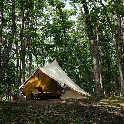サバティカル モーニンググローリーTC スペシャルセット