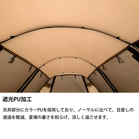 サバティカル アルニカ スペシャルセット