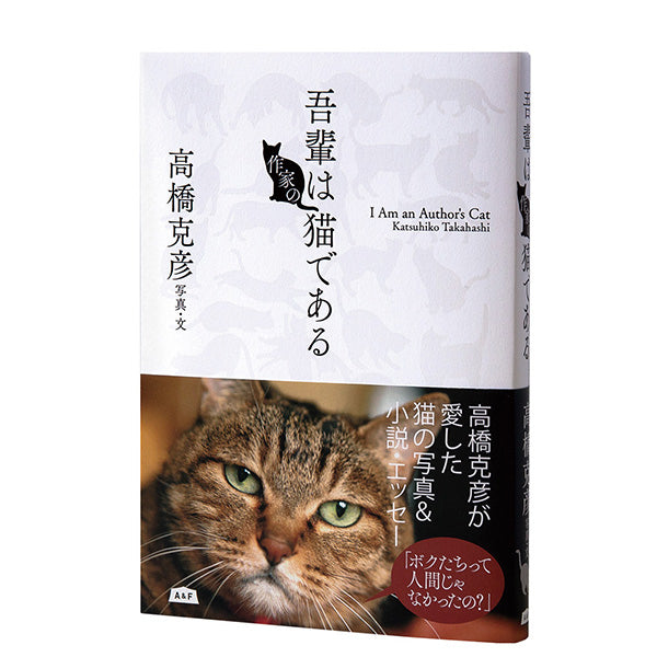 書籍